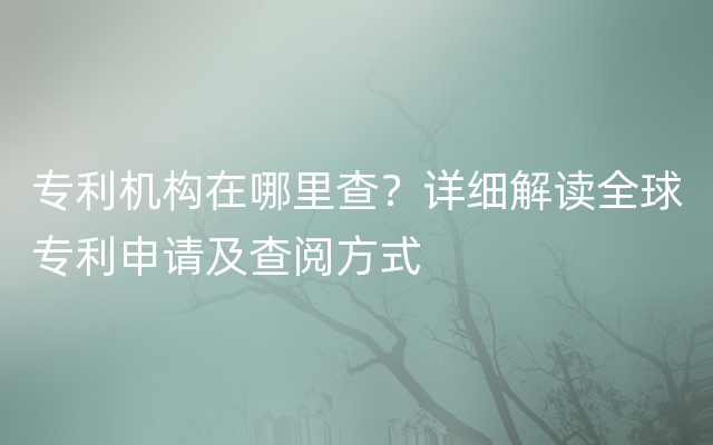 专利机构在哪里查？详细解读全球专利申请及查阅方式