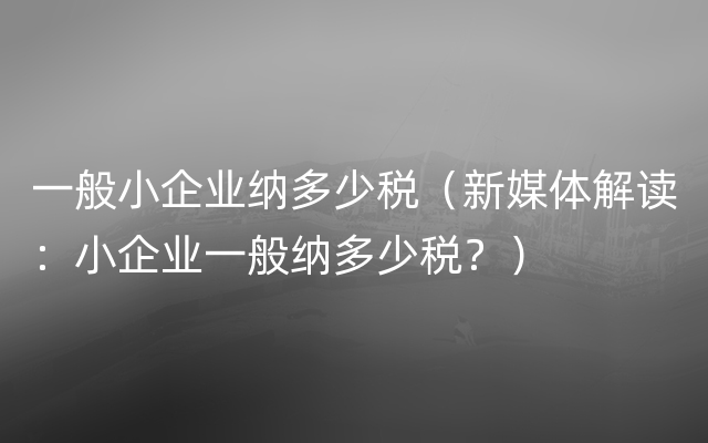 一般小企业纳多少税（新媒体解读：小企业一般纳多少税？）