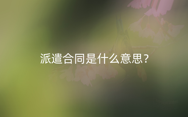 派遣合同是什么意思？