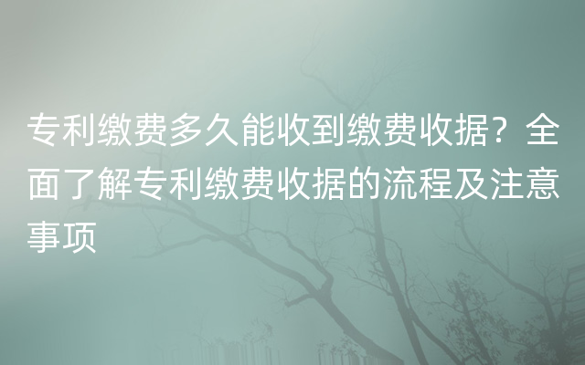 专利缴费多久能收到缴费收据？全面了解专利缴费收据的流程及注意事项