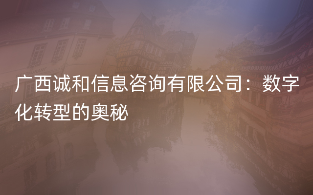 广西诚和信息咨询有限公司：数字化转型的奥秘