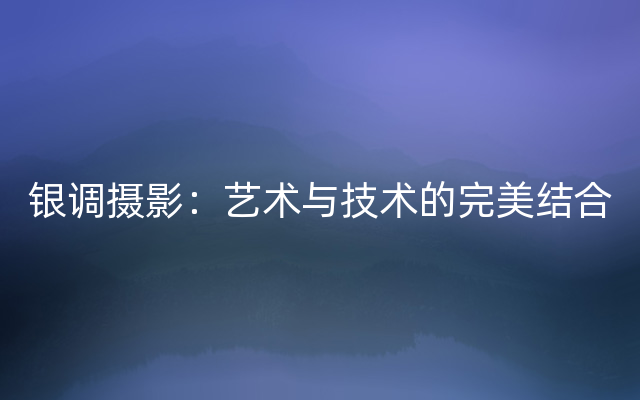 银调摄影：艺术与技术的完美结合