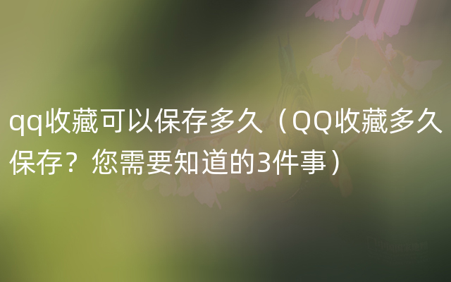 qq收藏可以保存多久（QQ收藏多久保存？您需要知道