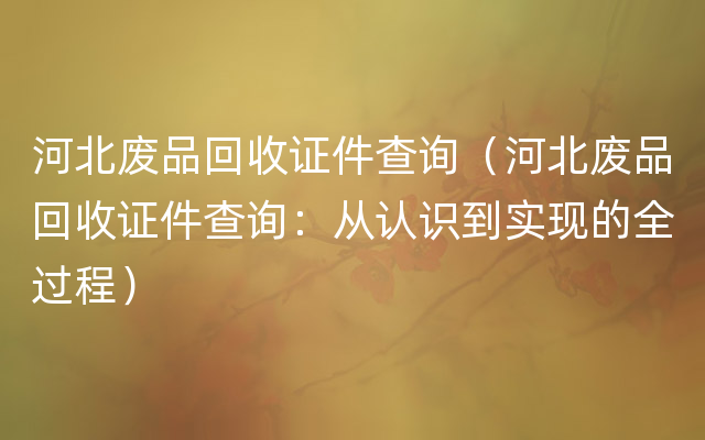 河北废品回收证件查询（河北废品回收证件查询：从认识到实现的全过程）