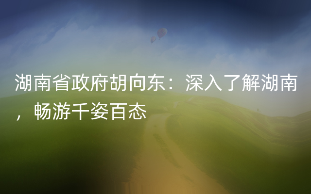 湖南省政府胡向东：深入了解湖南，畅游千姿百态