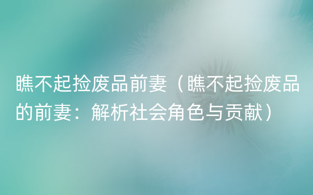 瞧不起捡废品前妻（瞧不起捡废品的前妻：解析社会角色与贡献）