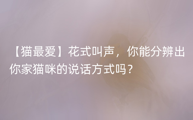 【猫最爱】花式叫声，你能分辨出你家猫咪的说话方式吗？