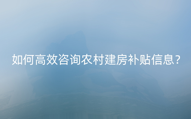 如何高效咨询农村建房补贴信息？