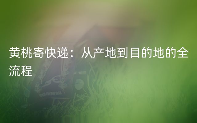 黄桃寄快递：从产地到目的地的全流程