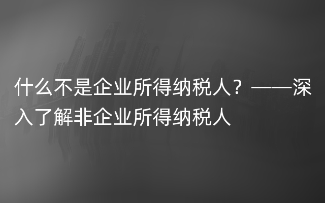 什么不是企业所得纳税人？——深入了解非企业所得纳税人