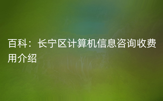 百科：长宁区计算机信息咨询收费用介绍