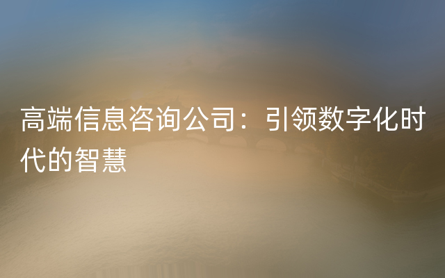 高端信息咨询公司：引领数字化时代的智慧