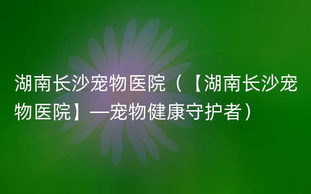 湖南长沙宠物医院（【湖南长沙宠物医院】—宠物健康守护者）