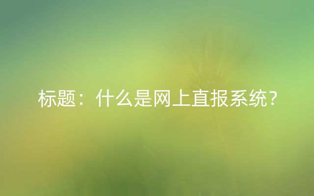 标题：什么是网上直报系统？