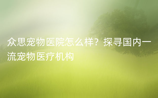 众思宠物医院怎么样？探寻国内一流宠物医疗机构