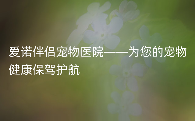 爱诺伴侣宠物医院——为您的宠物健康保驾护航