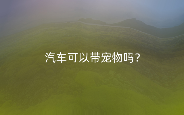 汽车可以带宠物吗？