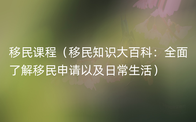 移民课程（移民知识大百科：全面了解移民申请以及日常生活）