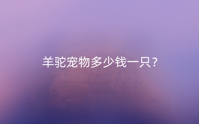 羊驼宠物多少钱一只？