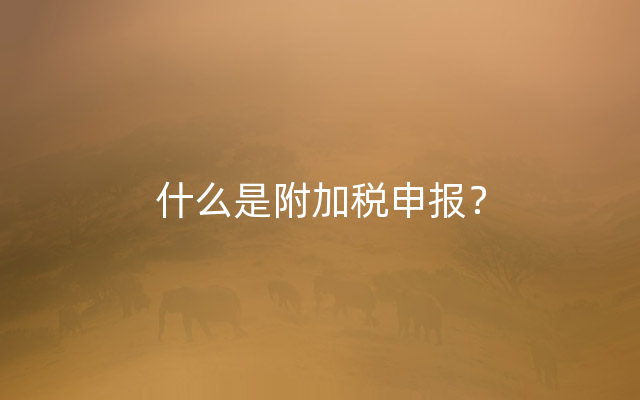 什么是附加税申报？