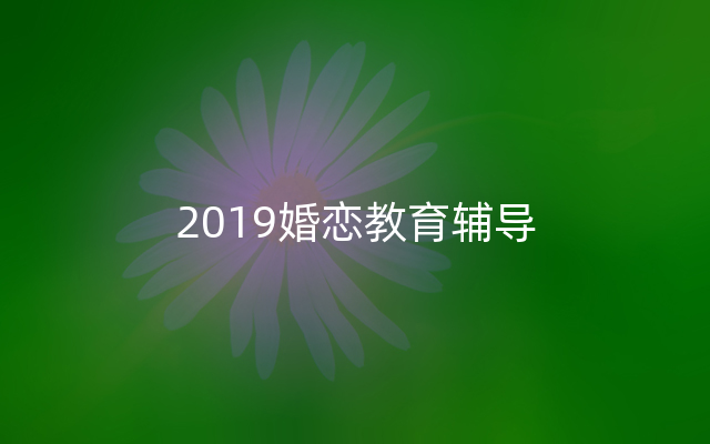 2019婚恋教育辅导