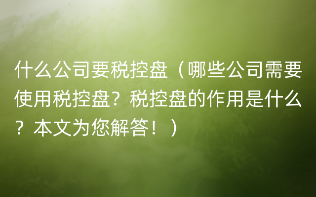 什么公司要税控盘（哪些公司需要使用税控盘？税控盘的作用是什么？本文为您解答！）