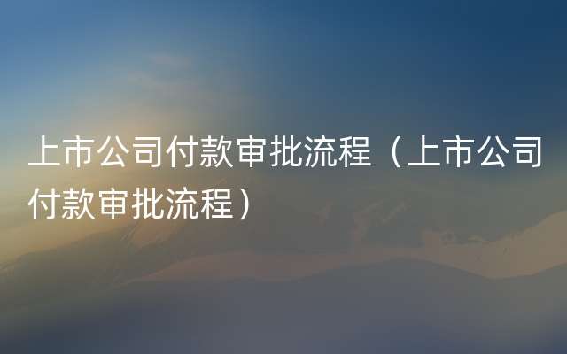 上市公司付款审批流程（上市公司付款审批流程）