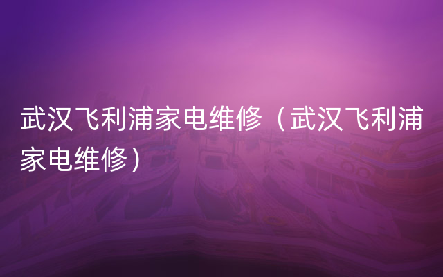 武汉飞利浦家电维修（武汉飞利浦家电维修）