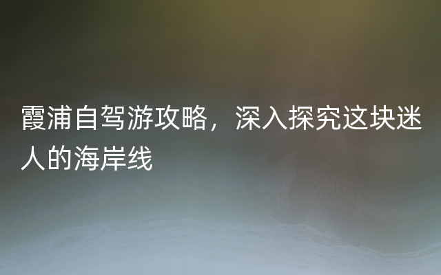 霞浦自驾游攻略，深入探究这块迷人的海岸线