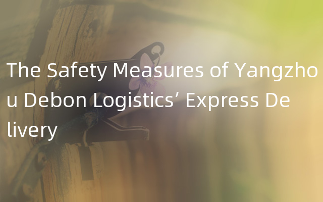 The Safety Measures of Yangzhou Debon Logistics’ Express Delivery