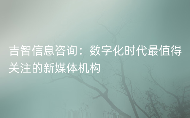 吉智信息咨询：数字化时代最值得关注的新媒体机构