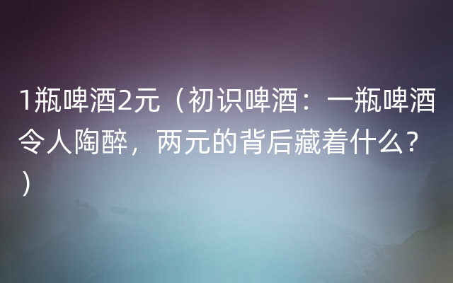 1瓶啤酒2元（初识啤酒：一瓶啤酒令人陶醉，两元的