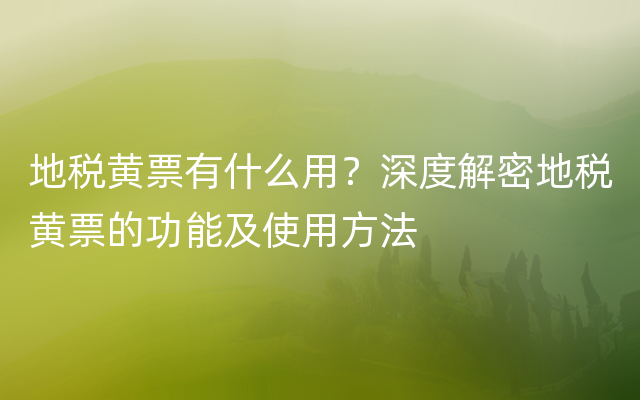 地税黄票有什么用？深度解密地税黄票的功能及使用方法