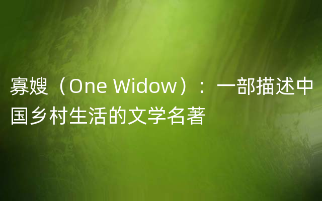 寡嫂（One Widow）：一部描述中国乡村生活的文学名著