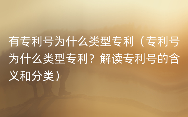 有专利号为什么类型专利（专利号为什么类型专利？解读专利号的含义和分类）