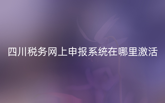 四川税务网上申报系统在哪里激活