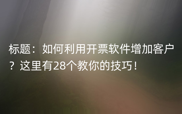 标题：如何利用开票软件增加客户？这里有28个教你的技巧！