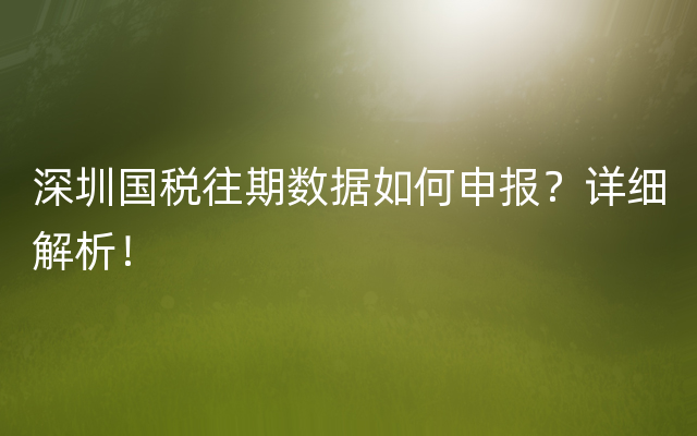 深圳国税往期数据如何申报？详细解析！