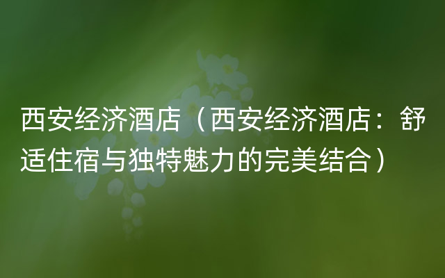 西安经济酒店（西安经济酒店：舒适住宿与独特魅力