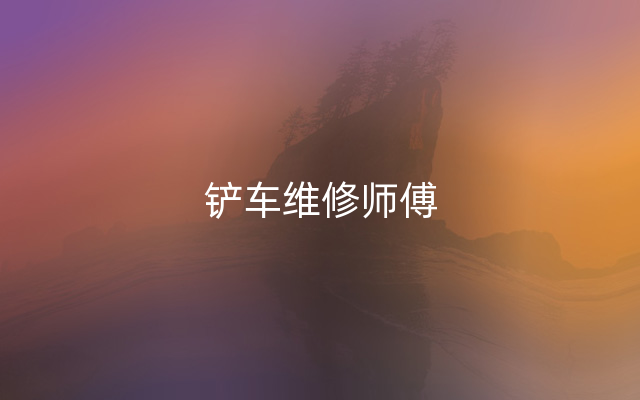 铲车维修师傅