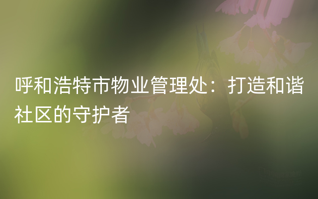 呼和浩特市物业管理处：打造和谐社区的守护者