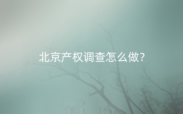 北京产权调查怎么做？