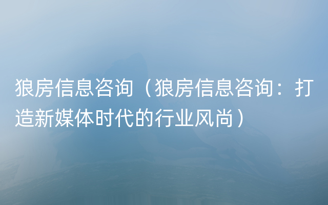 狼房信息咨询（狼房信息咨询：打造新媒体时代的行