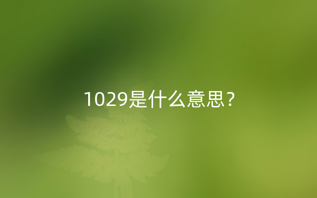 1029是什么意思？