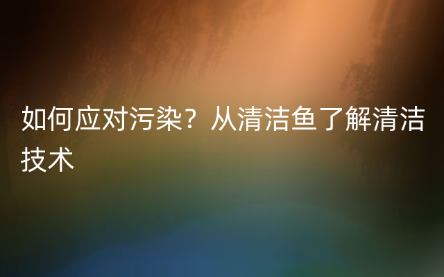 如何应对污染？从清洁鱼了解清洁技术