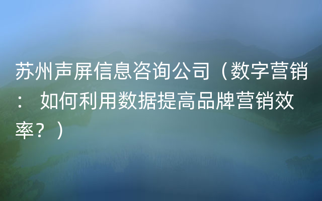 苏州声屏信息咨询公司（数字营销： 如何利用数据提高品牌营销效率？）