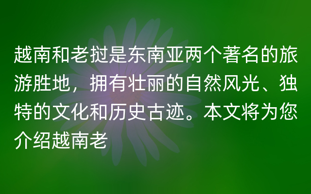 越南和老挝是东南亚两个著名的旅游胜地，拥有壮丽的自然风光、独特的文化和历史古迹。