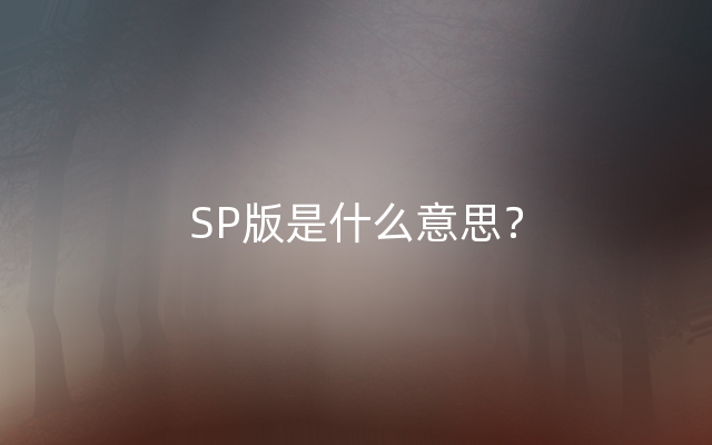 SP版是什么意思？