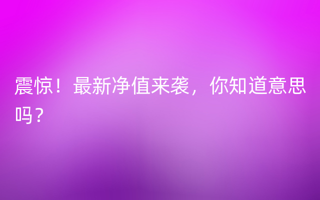 震惊！最新净值来袭，你知道意思吗？