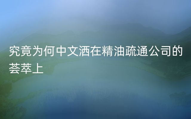 究竟为何中文洒在精油疏通公司的荟萃上